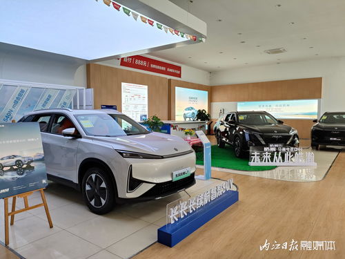 內(nèi)江第三十五屆汽車文化周│內(nèi)江車易通汽車銷售服務(wù) 長長長續(xù)航智混suv 等你來體驗