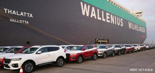 打不贏就制裁 歐盟對(duì)中國電動(dòng)汽車發(fā)起反補(bǔ)貼調(diào)查, 或加收關(guān)稅