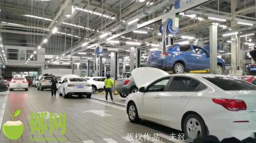 修修修 臺風過后,海口汽車4s店和維修廠 有點忙